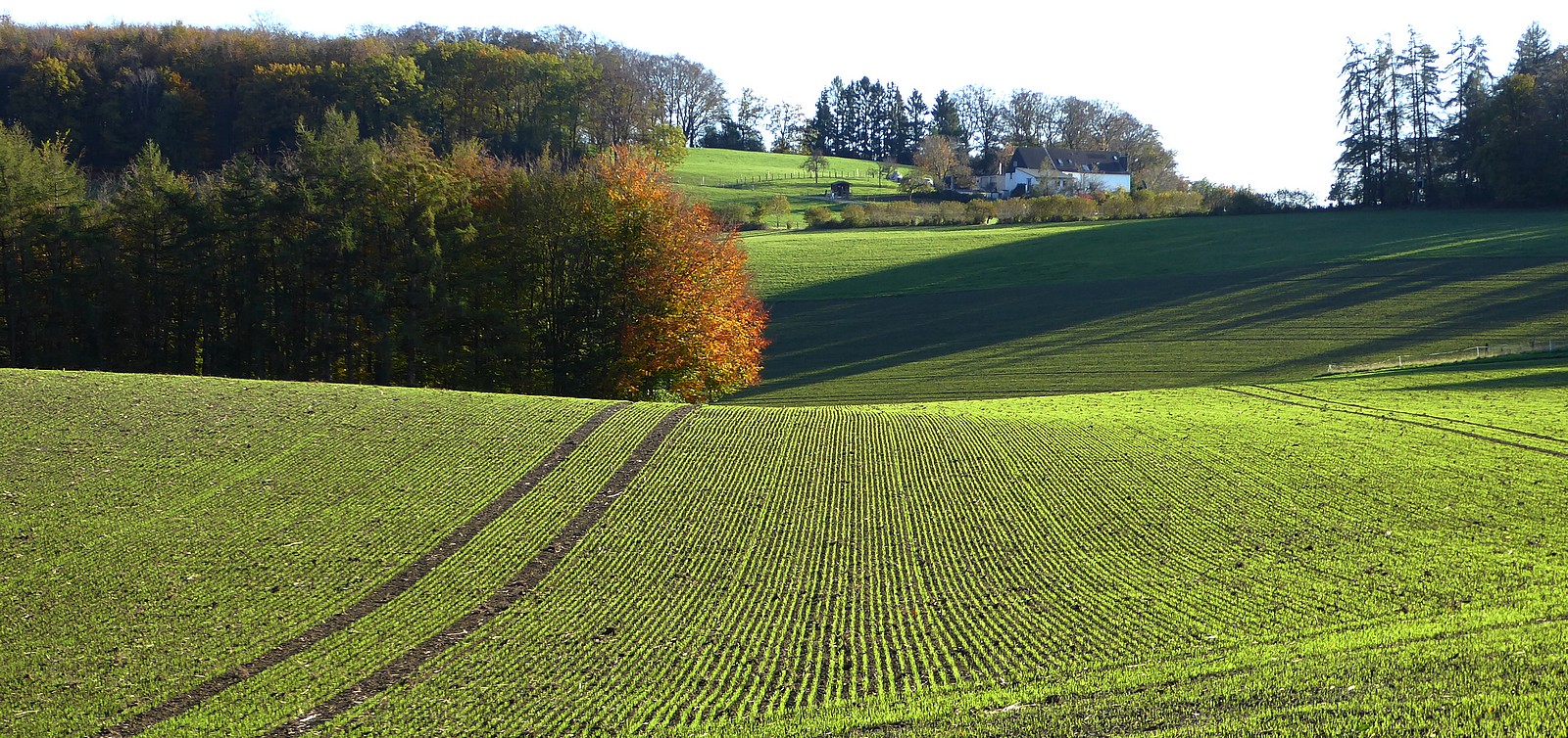 Herbstliche Felder