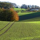 Herbstliche Felder