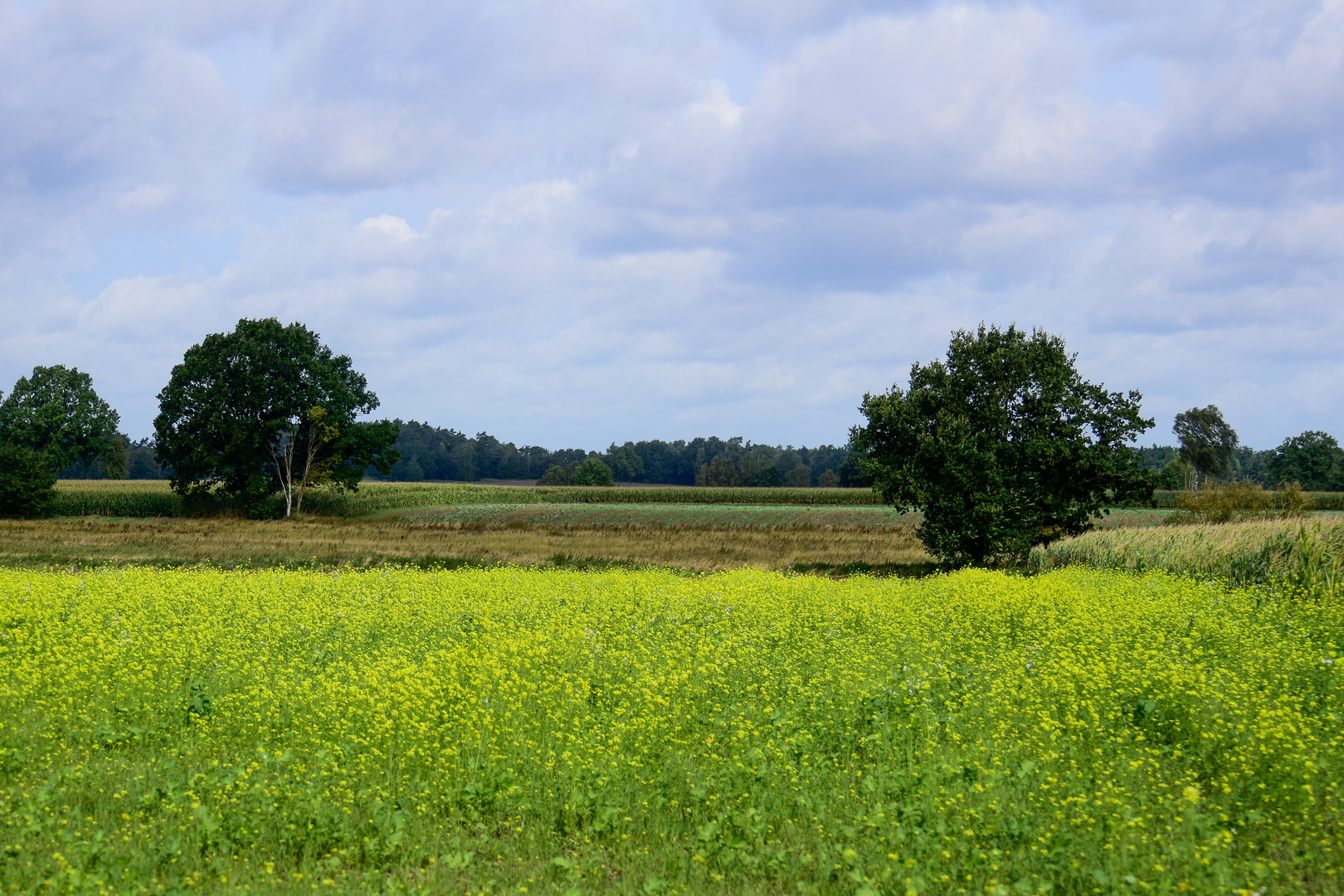 Herbstliche Felder