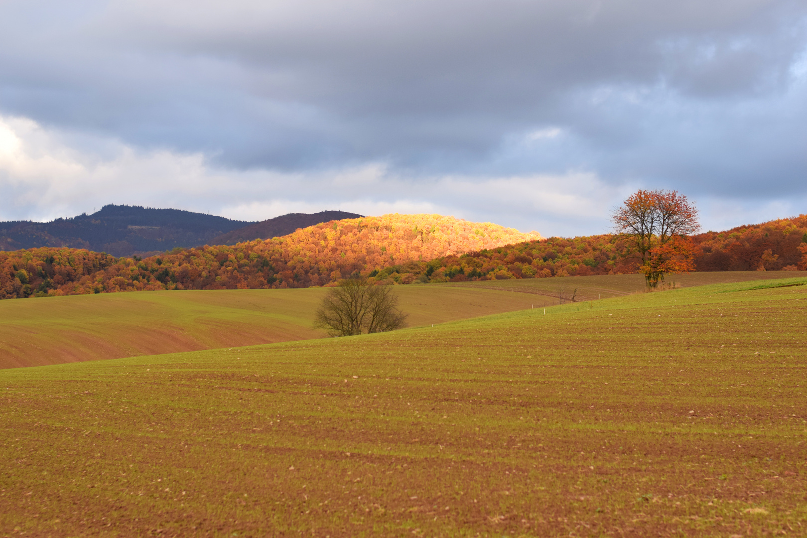 Herbstliche Felder