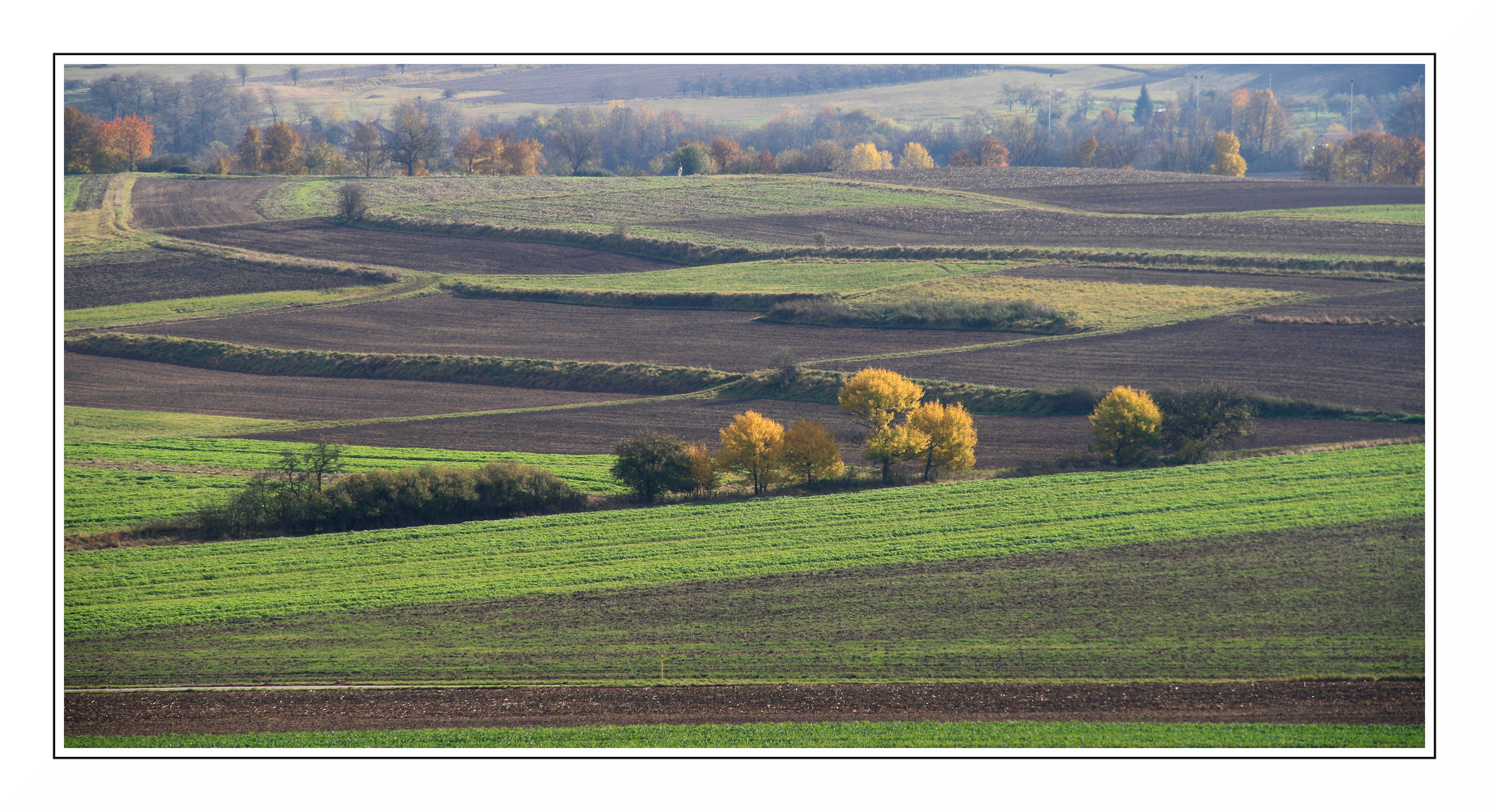 Herbstliche Felder BB