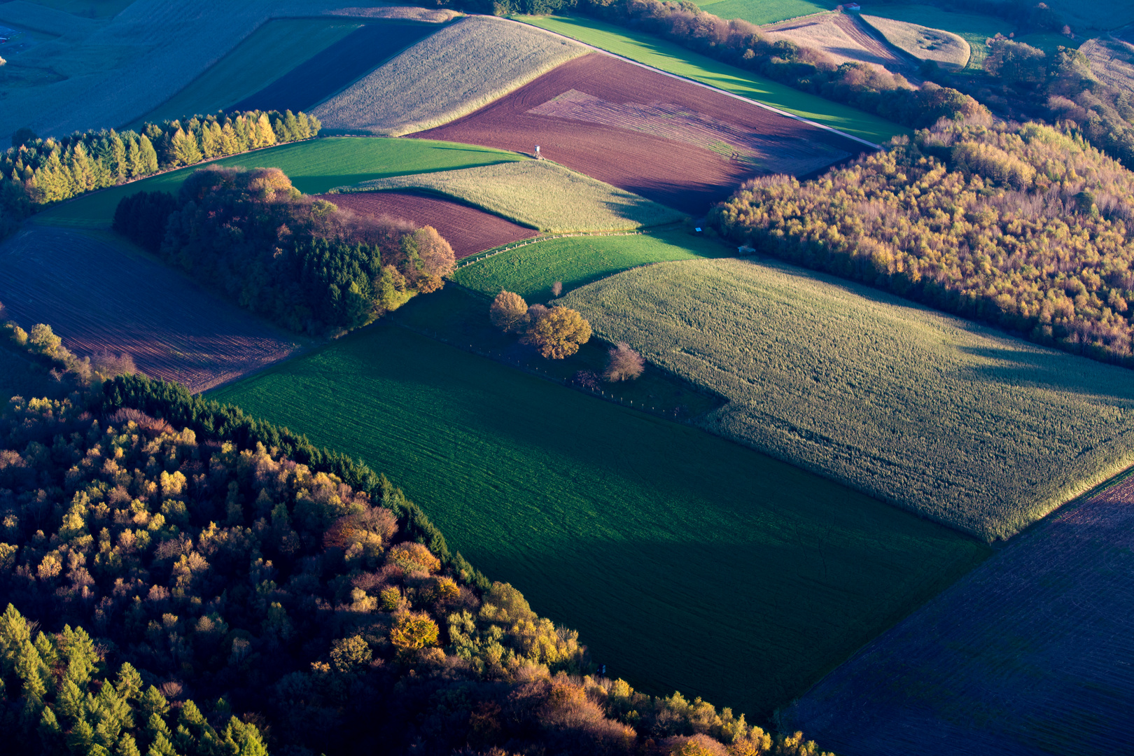 Herbstliche Felder