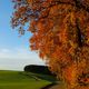 Herbstliche Felder im Sauerland