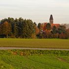 Herbstliche Feldflur mit Wintergerste