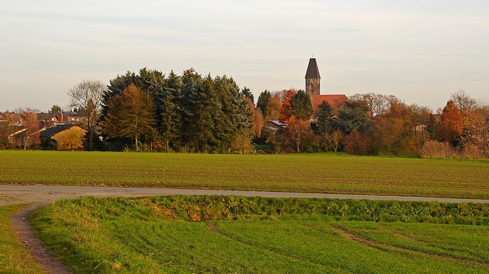 Herbstliche Feldflur mit Wintergerste