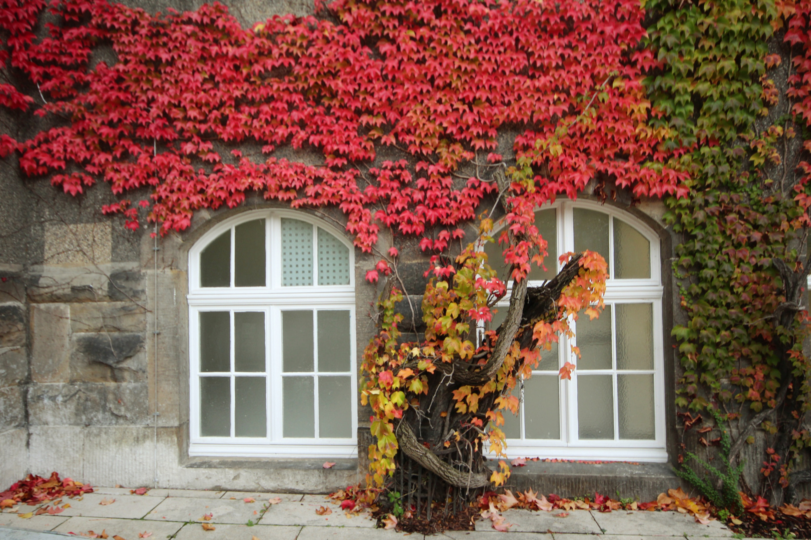 Herbstliche Fensterdeko...