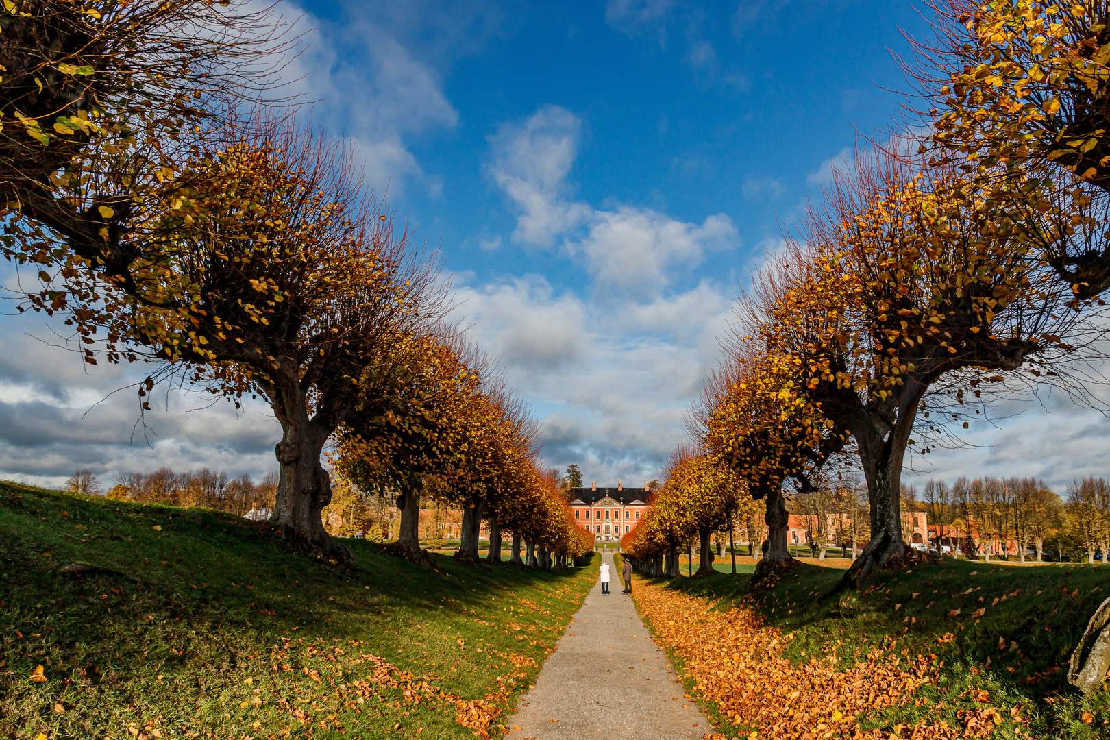 herbstliche Festonallee vor  Schloss Bothmer