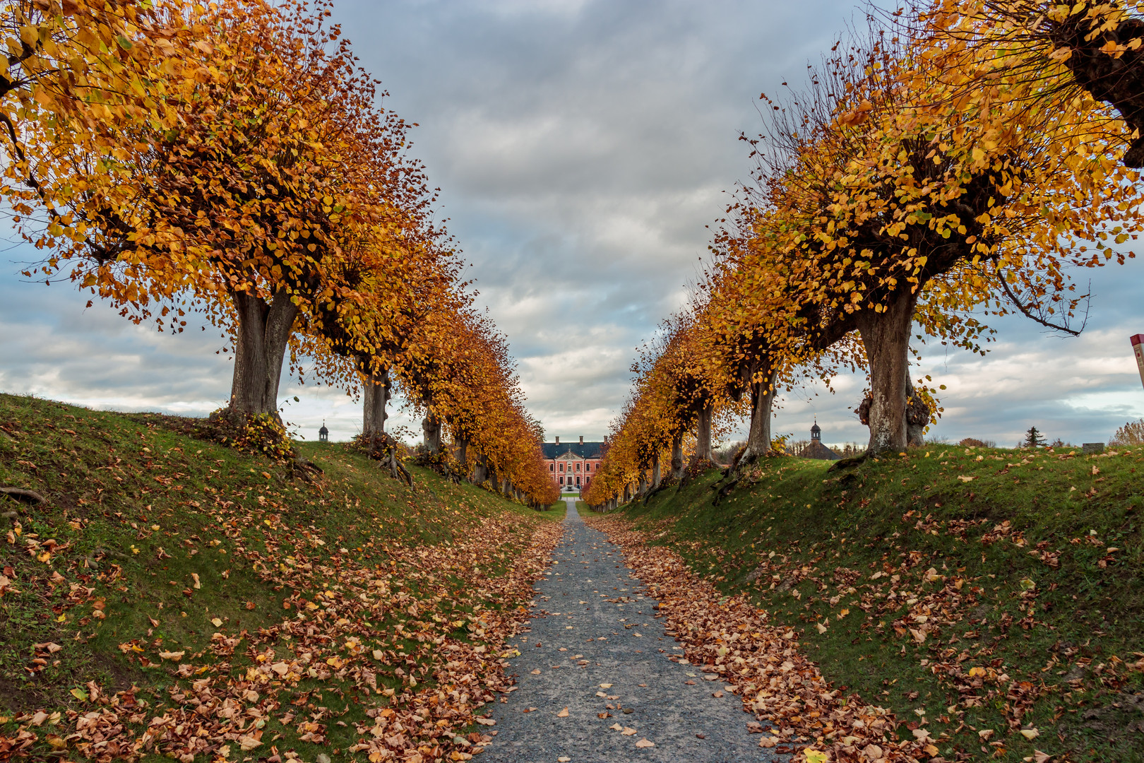 herbstliche Festonallee vor Schloss Bothmer .        Zum Thementag-Durchblick.