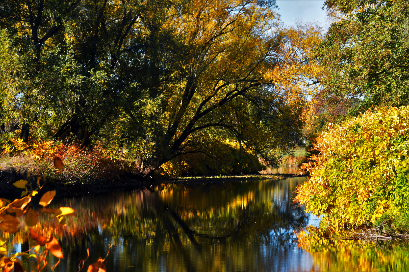 herbstliche Flußlandschaft