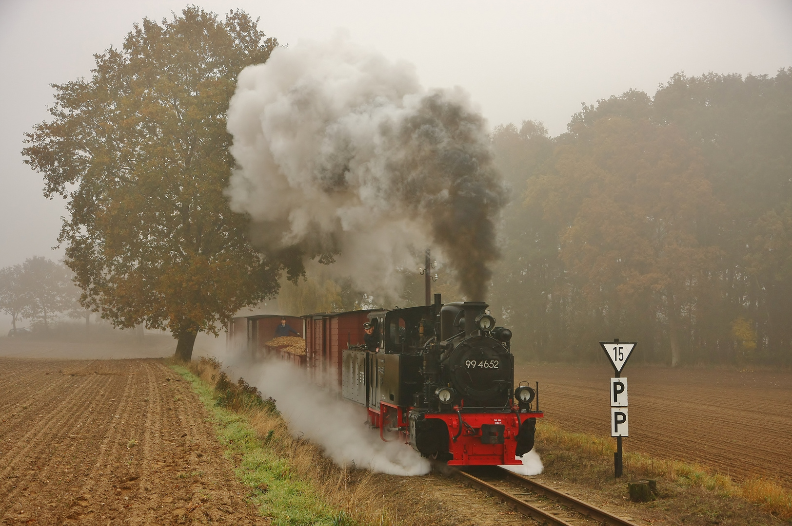 Herbstliche Fotogüterzüge beim Pollo .....