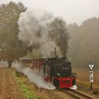 Herbstliche Fotogüterzüge beim Pollo .....