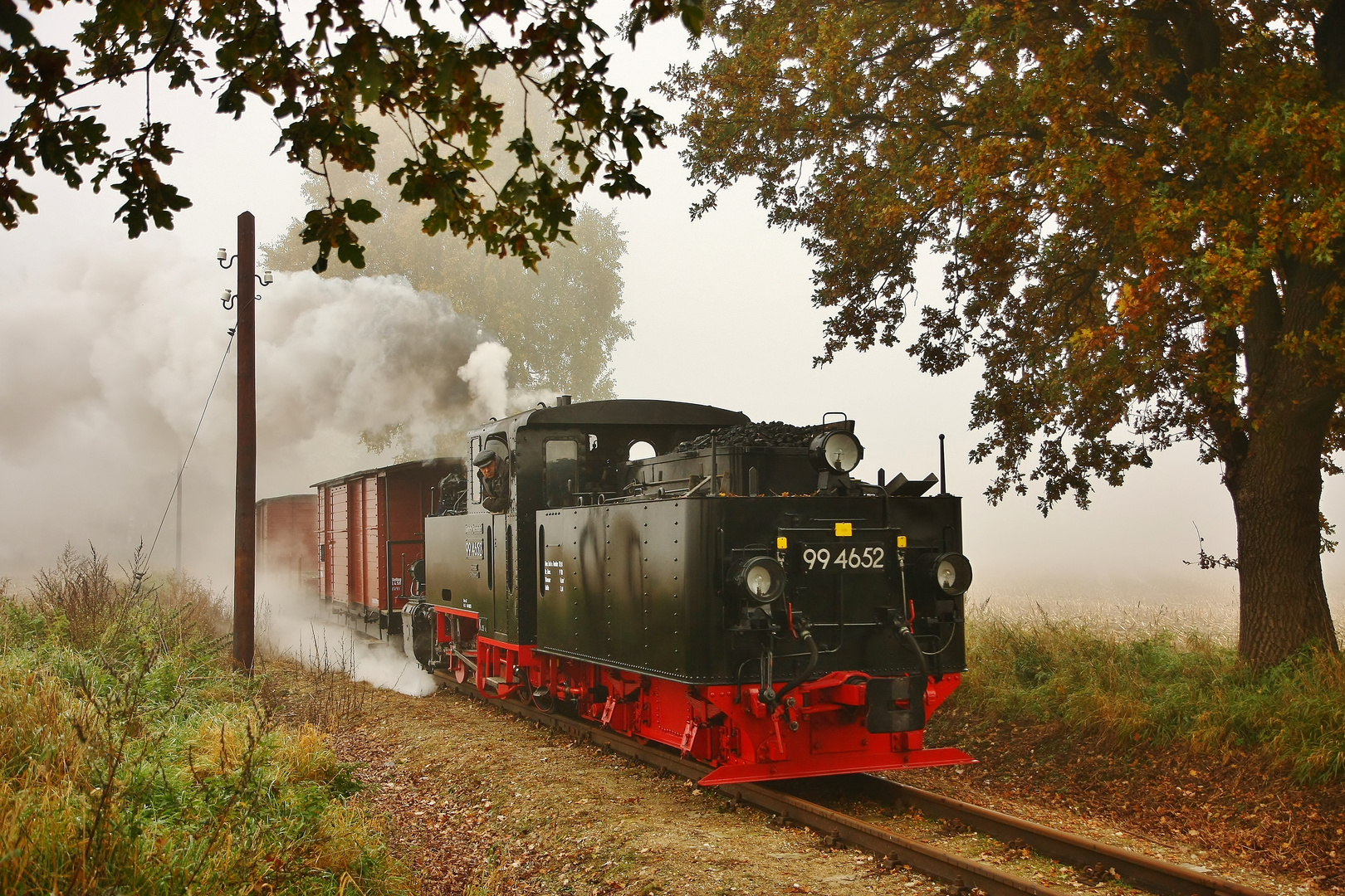 Herbstliche Fotogüterzüge beim Pollo ....