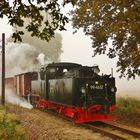 Herbstliche Fotogüterzüge beim Pollo ....