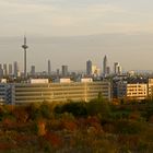 Herbstliche Frankfurter Skyline