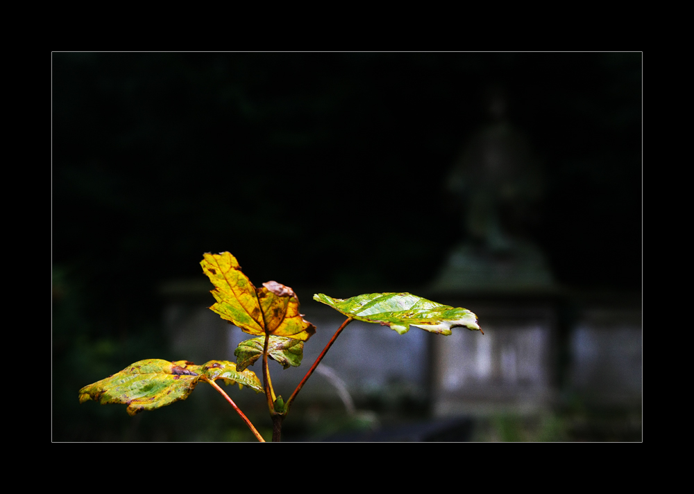 herbstliche Friedhofsimpression