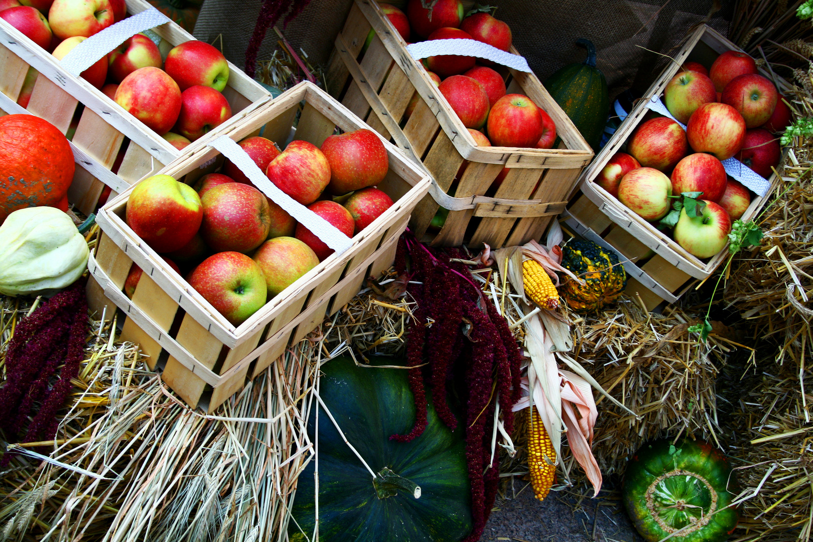 Herbstliche Früchte...