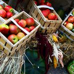 Herbstliche Früchte...