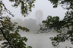 Herbstliche Frühnebel am Neckar