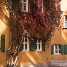 Herbstliche Fuggerei...