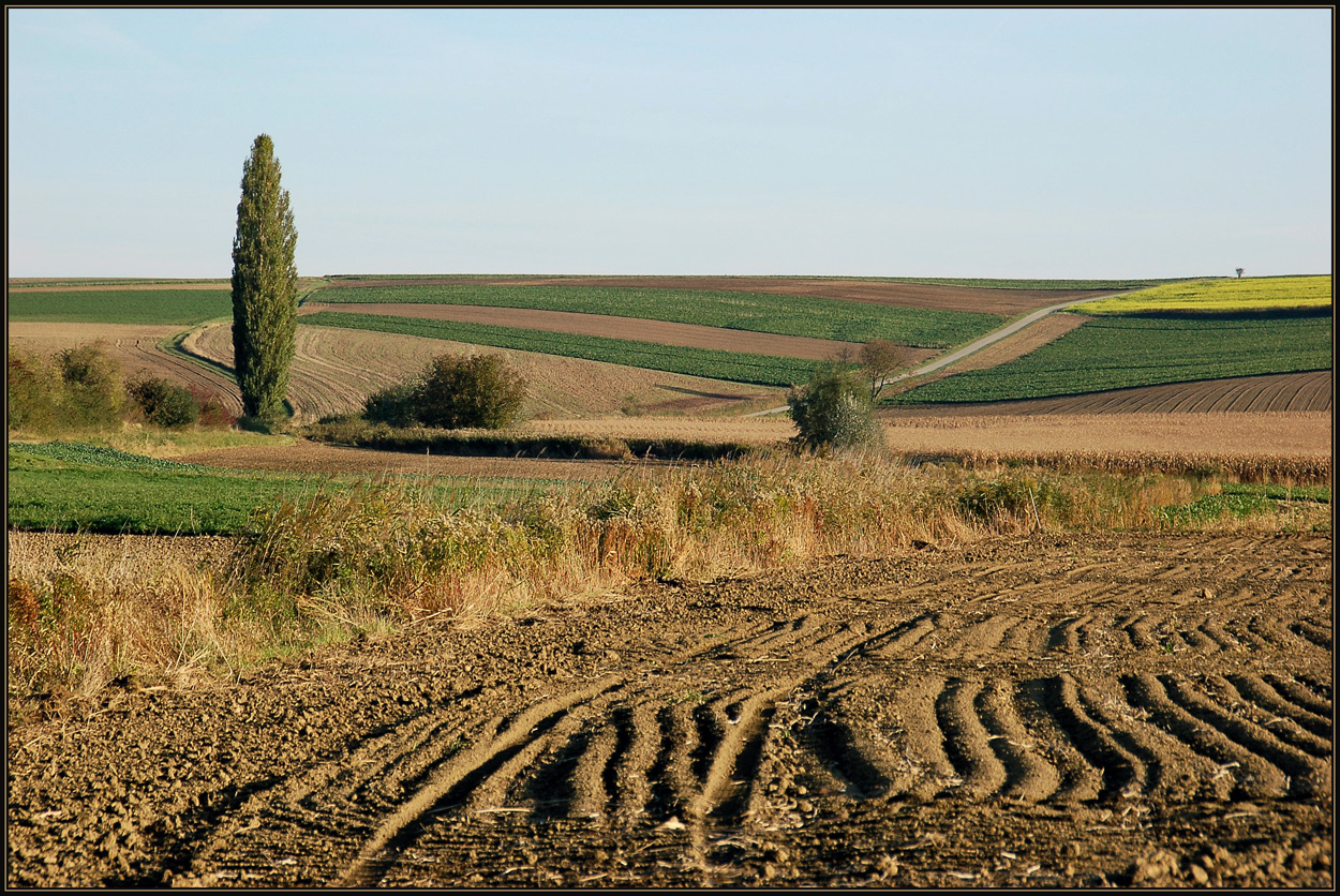 Herbstliche Furchenoptik