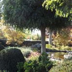 Herbstliche Gartenanlage mit Mühle