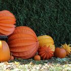 Herbstliche Gartendekoration