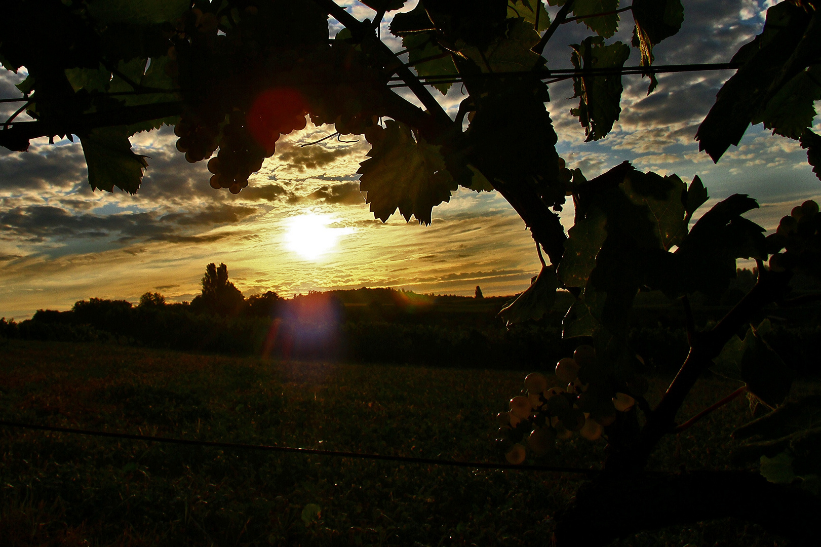 Herbstliche Gefühle..