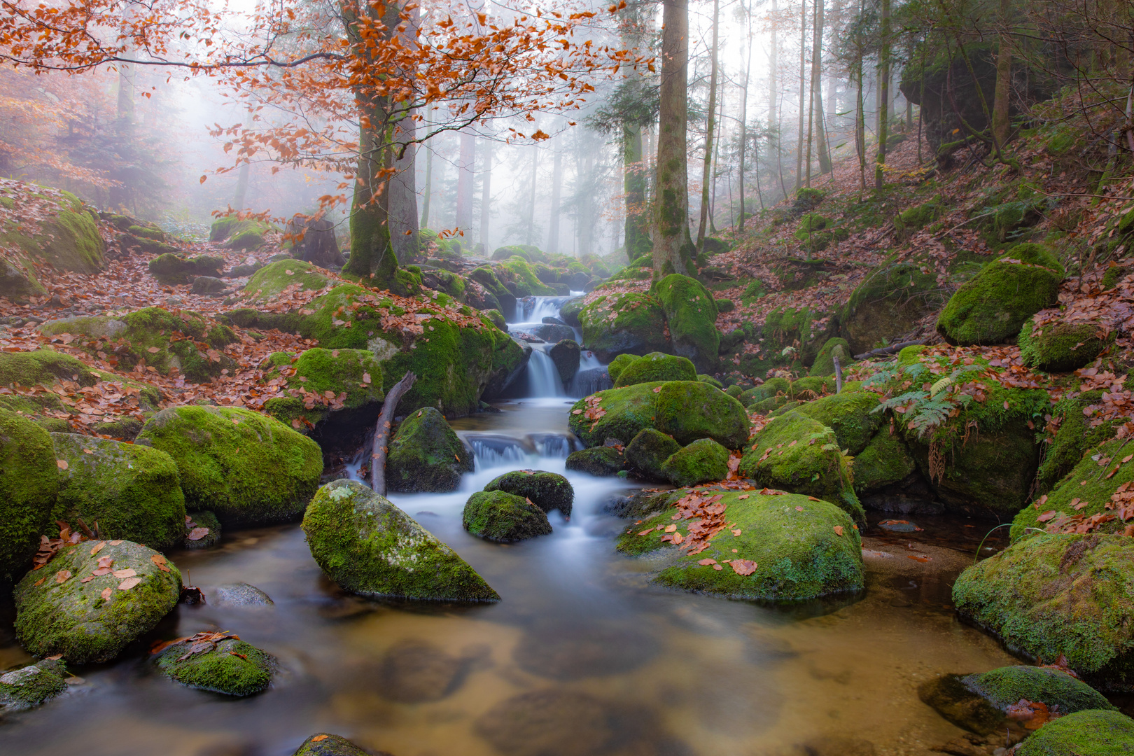 Herbstliche Gertelbachschlucht