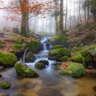 Herbstliche Gertelbachschlucht