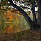 Herbstliche Glörtalsperre ...