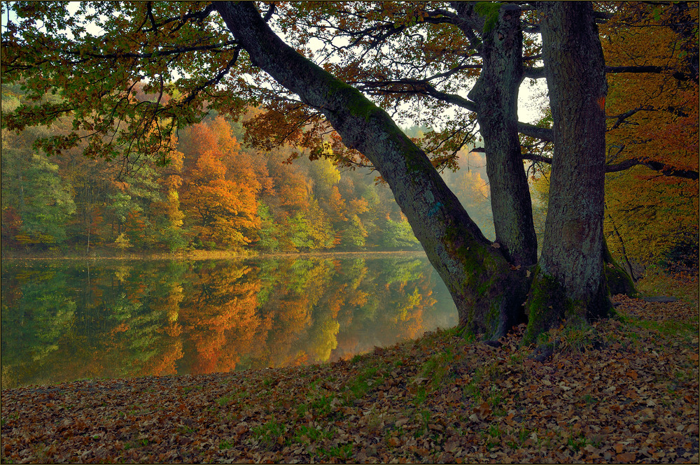 Herbstliche Glörtalsperre ...