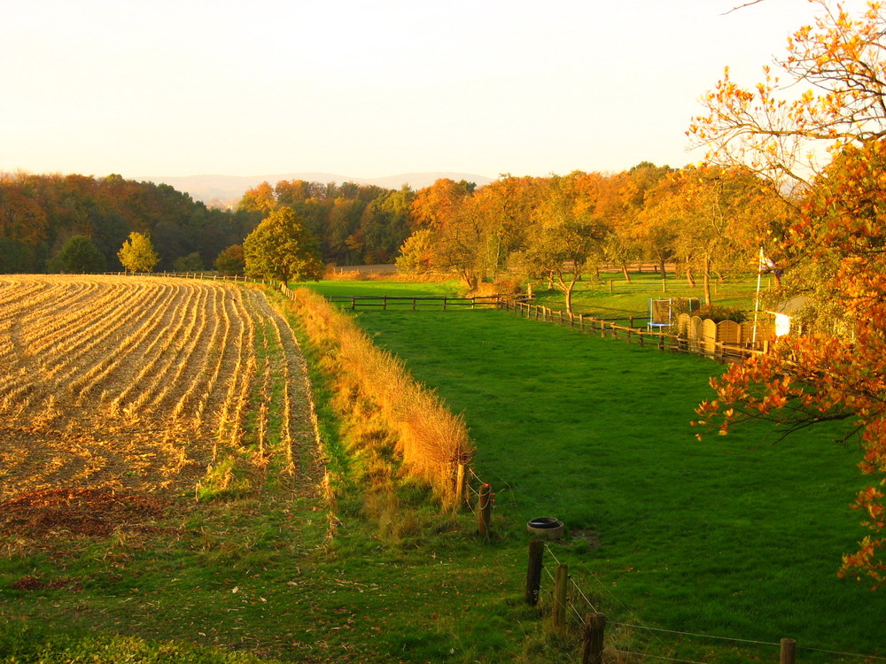 Herbstliche Grüße