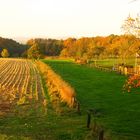 Herbstliche Grüße