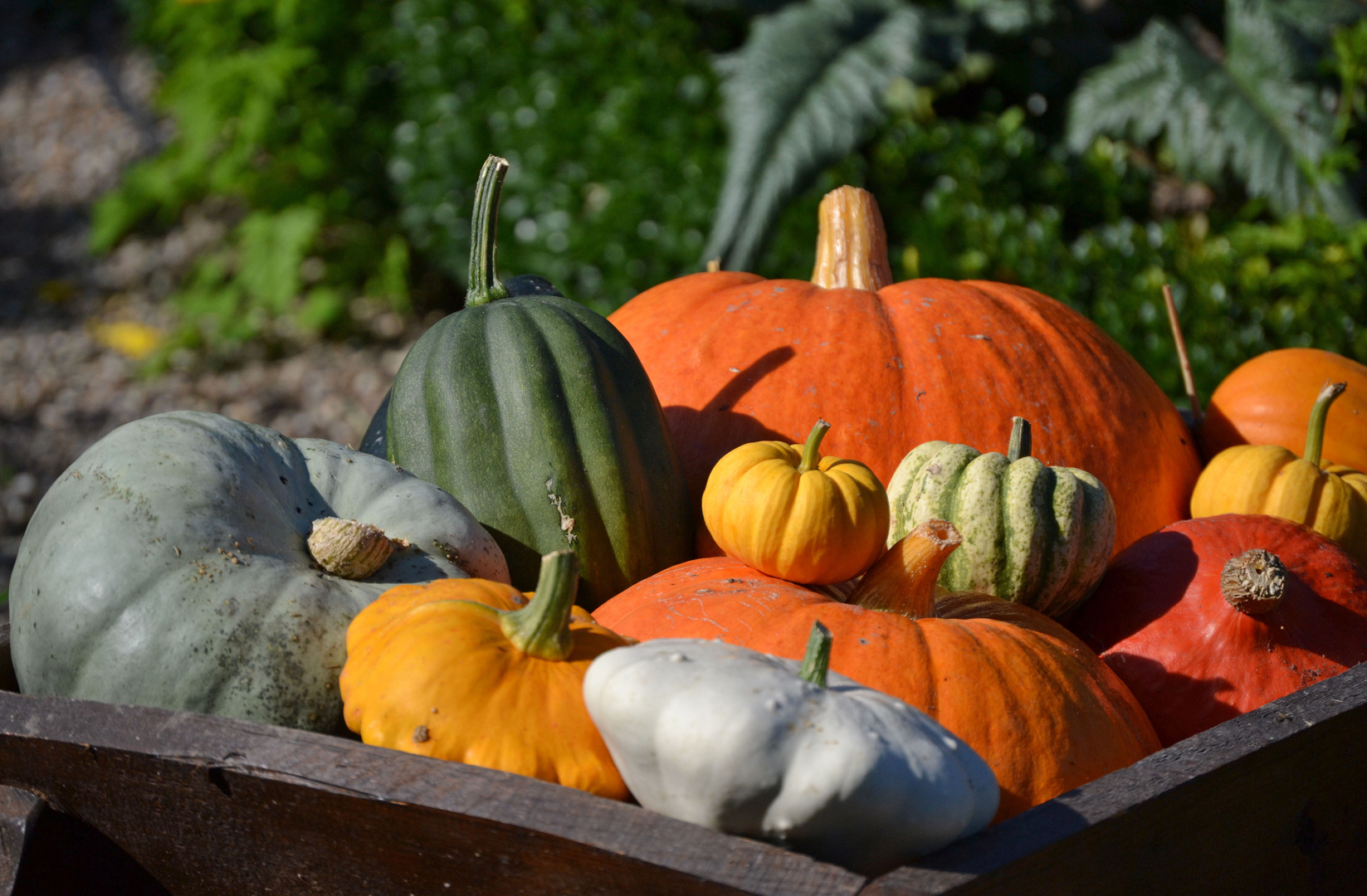 Herbstliche Grüße