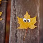 herbstliche Grüße