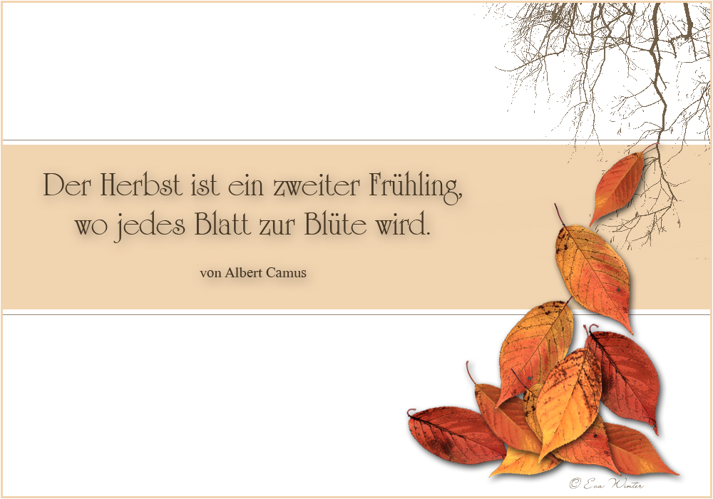 HERBSTLICHE GRÜSSE -2-