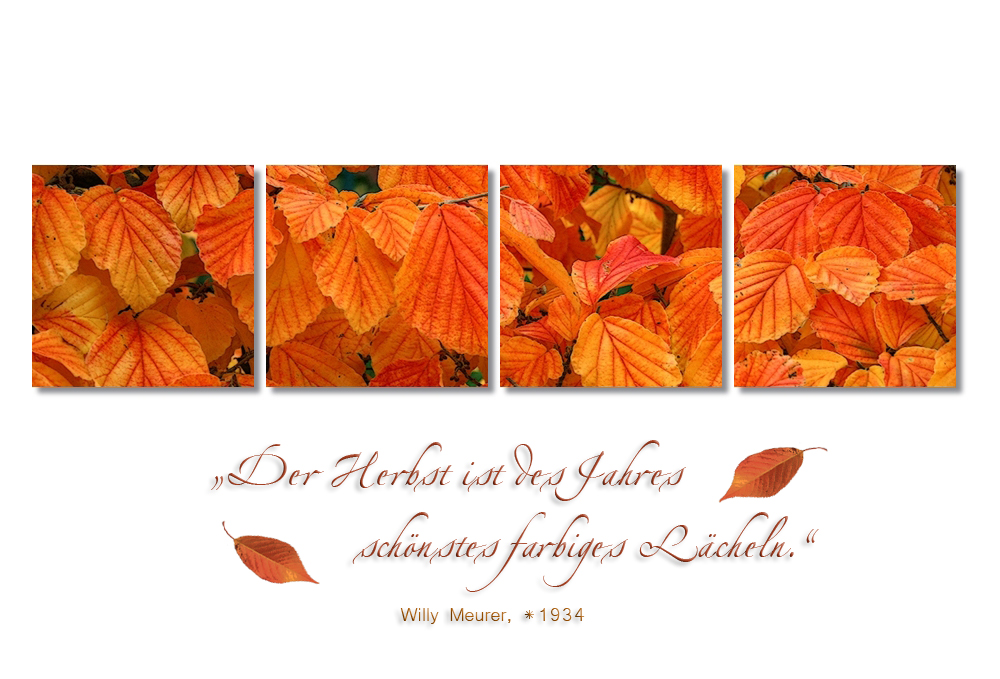 HERBSTLICHE GRÜSSE -3-