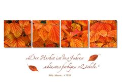 HERBSTLICHE GRÜSSE -3-