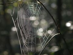 Herbstliche Grüße