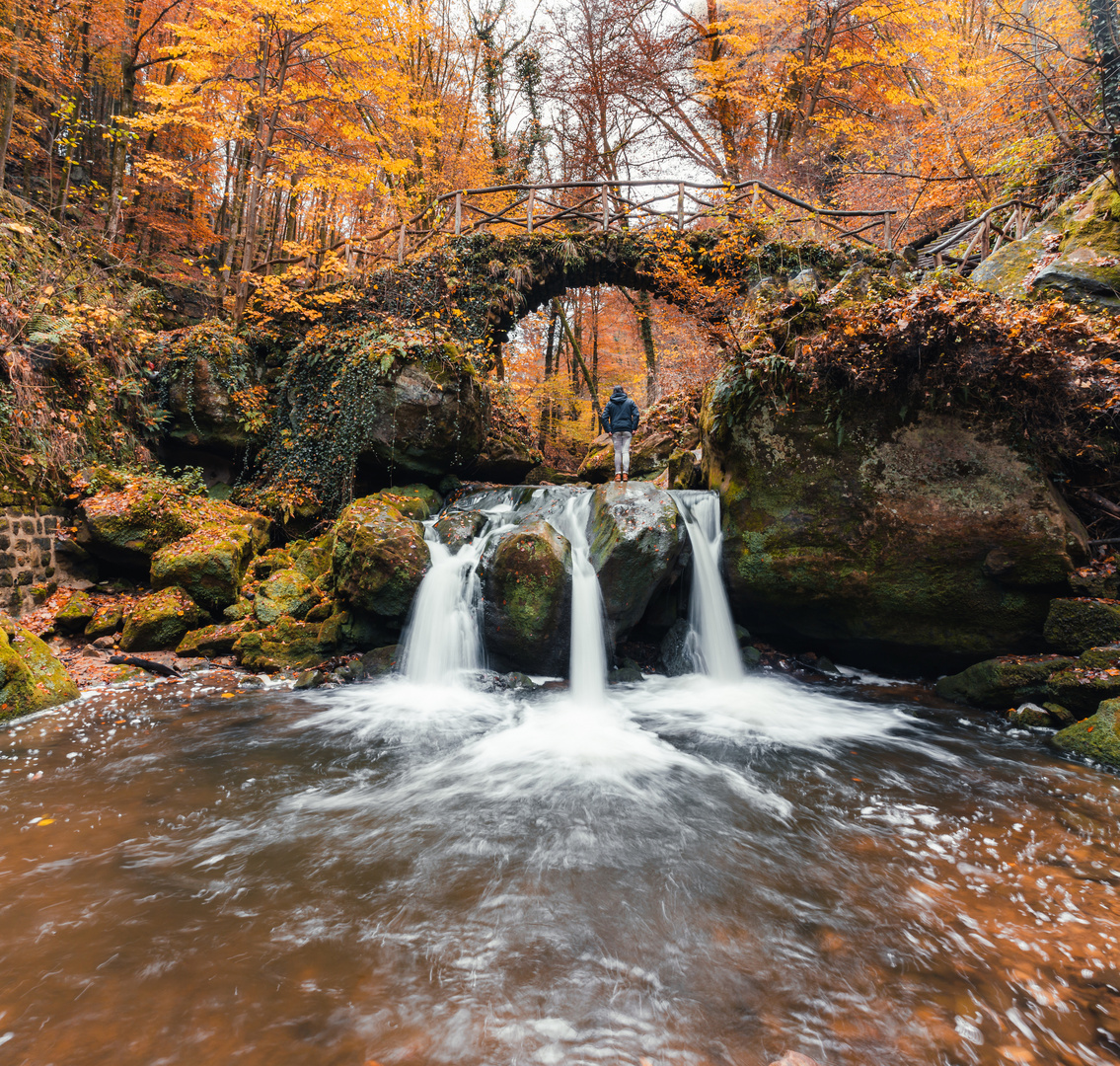 Herbstliche Grüße 