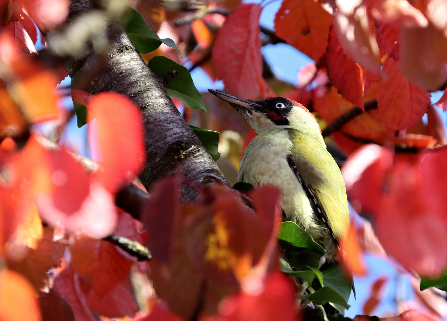 Herbstliche Grüße