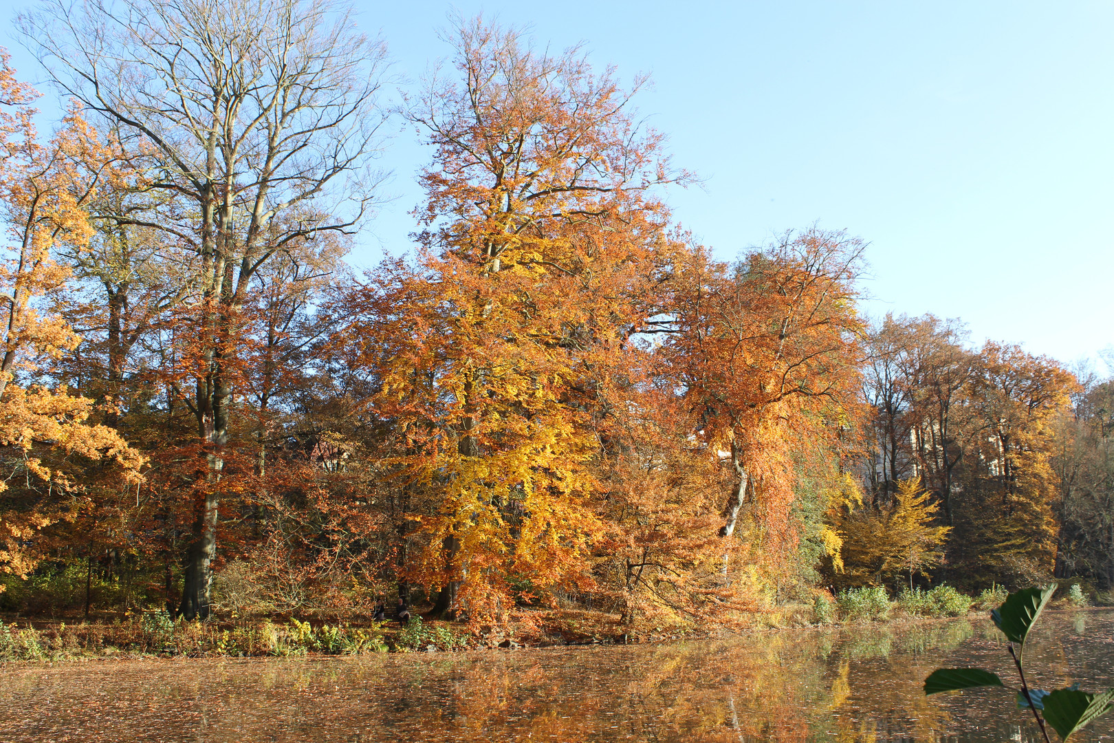 herbstliche Grüße