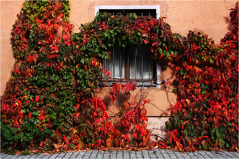 herbstliche Hausfassade