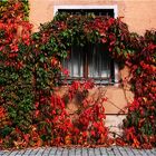 herbstliche Hausfassade