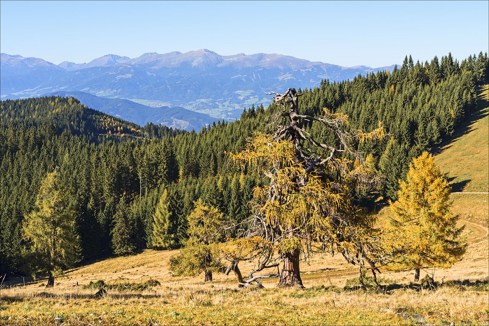 Herbstliche Heimat