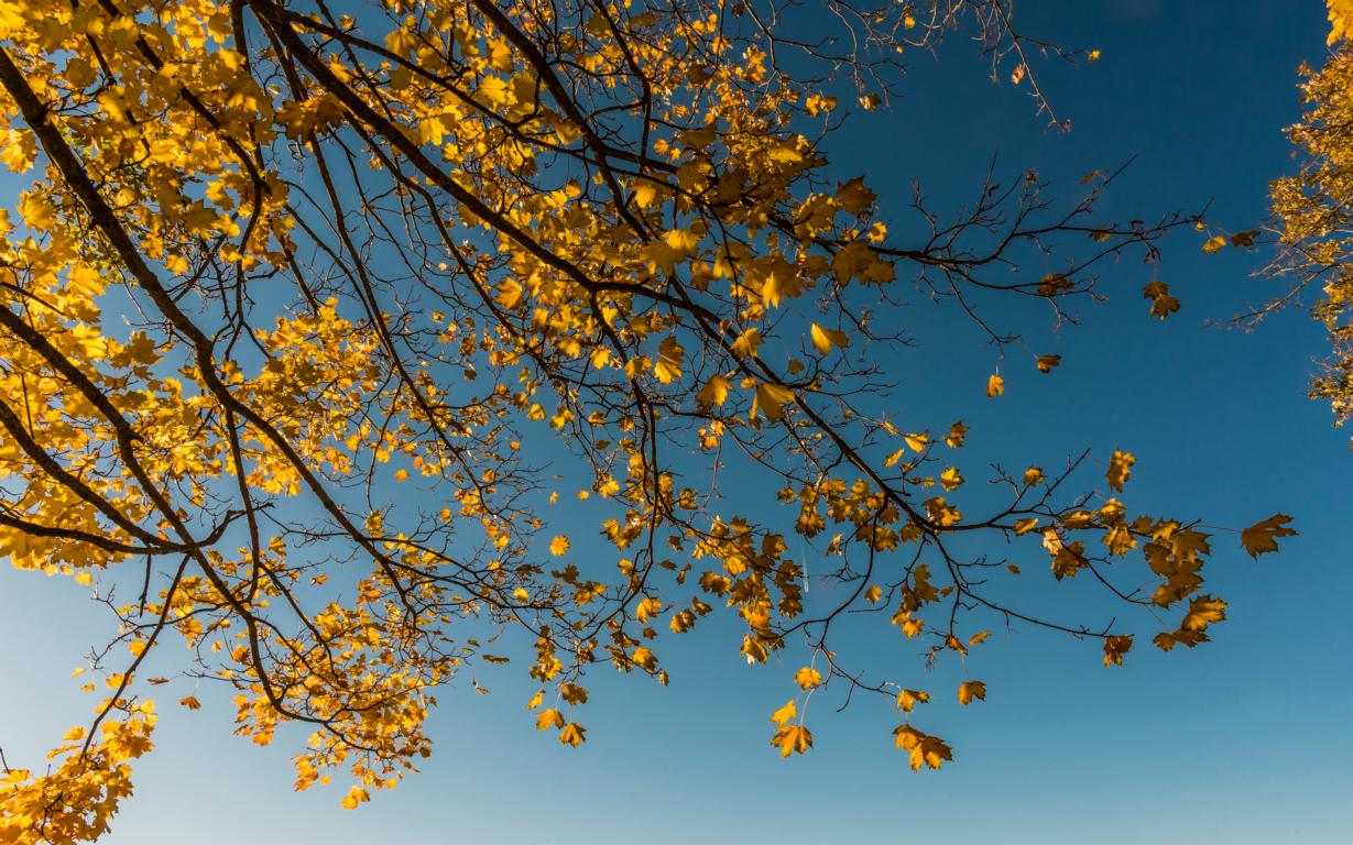 herbstliche Himmelblick