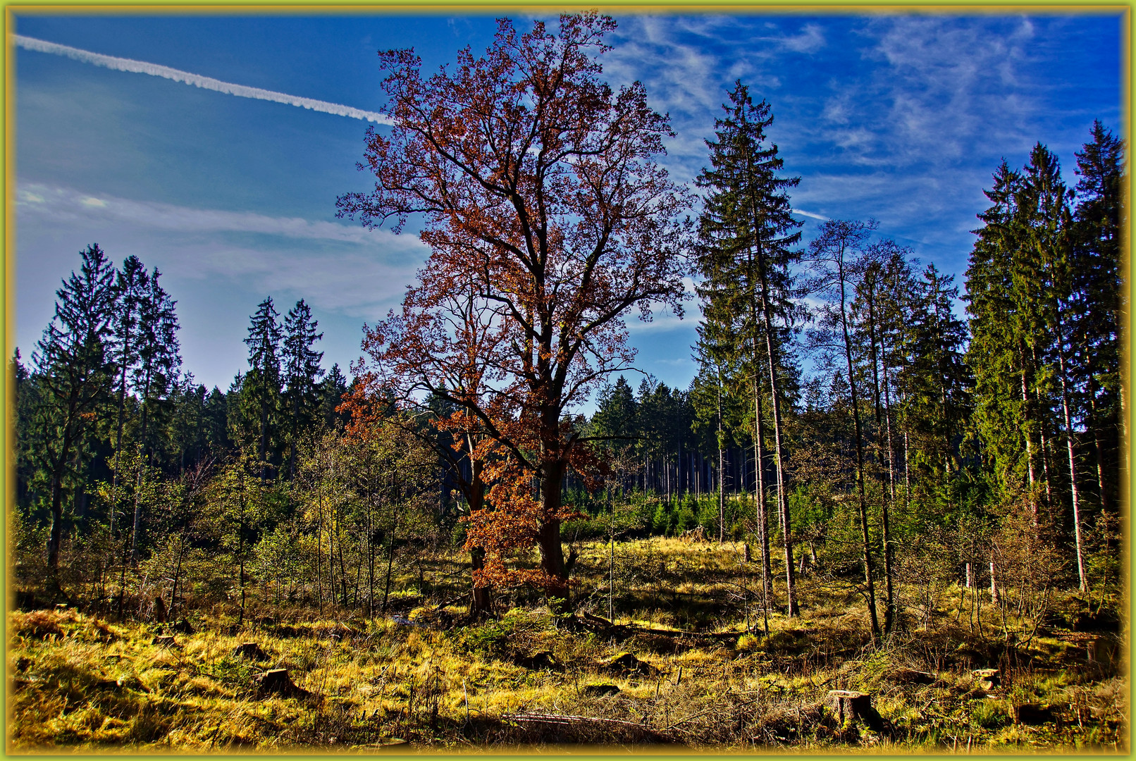 Herbstliche Hochfläche