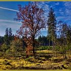 Herbstliche Hochfläche