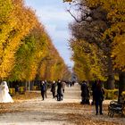 Herbstliche Hochzeit