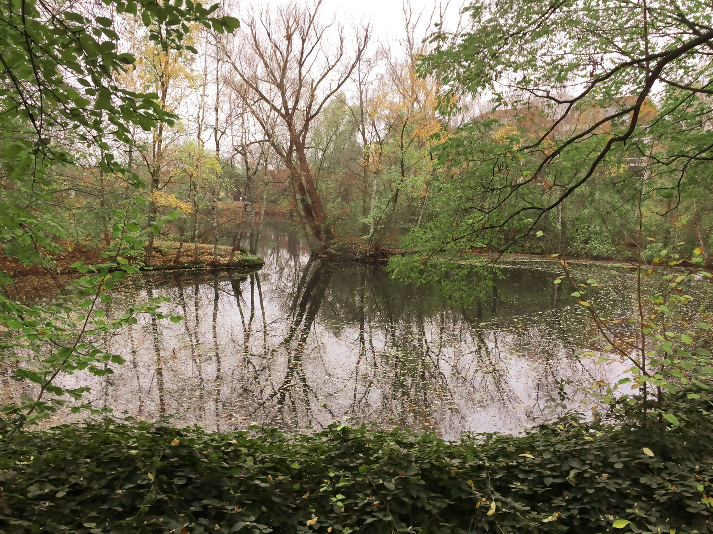 Herbstliche Hoffnung